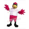 Cardinal Bird mascot costume