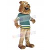 Dog mascot costume