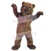 Bear mascot costume