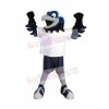 Hawk mascot costume