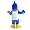 Hawk mascot costume