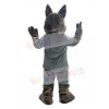 Coyote mascot costume