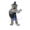 Bear mascot costume