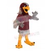 Falcon mascot costume