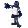 Phoenix Bird mascot costume