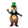 Squirrel mascot costume