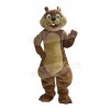 Squirrel mascot costume