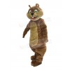 Squirrel mascot costume