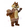 Squirrel mascot costume