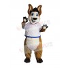 Kangaroo mascot costume