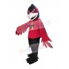 Raven mascot costume