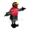 Raven mascot costume