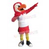 Falcon mascot costume