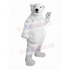 Bear mascot costume