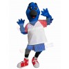 Bird mascot costume