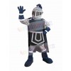 Knight mascot costume