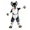 Happy Husky Dog Mascot Costumes Cartoon