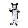 Cute Plush Husky Mascot Costumes Animal	