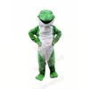 Plush Green Frog Mascot Costumes Cartoon