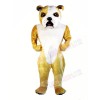 Cute Lightweight Bulldog Mascot Costumes