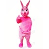 Pink Kangaroo Mascot Costumes Cartoon