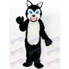 Little Black Wolf Adult Mascot Costume Tpye A Updated