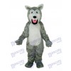 Small Long-haired Gray Wolf Mascot Adult Costume Animal 