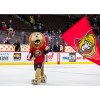 Spartacat Lion of the Ottawa Senators Mascot Costume