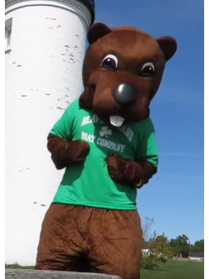 Barney Beaver Mascot Costume