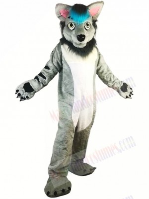 Grey Wolf Mascot Costume 