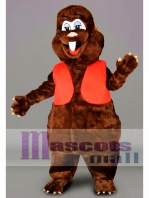 Cute Beaver Mascot Costume