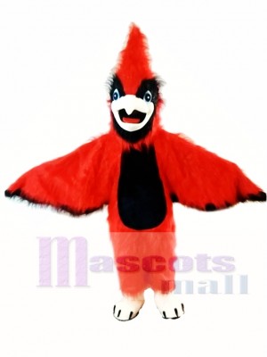 New Big Red Cardinal Mascot Costume