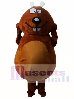 Brown Beaver Mascot Costumes 