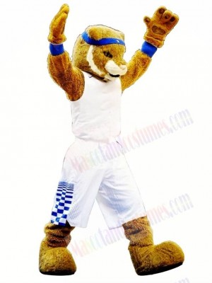 College Sport Wildcat Mascot Costume Free Shipping 