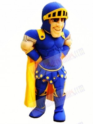 Top Quality Blue Knight Mascot Costume 
