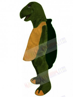Dark Green Tortoise Mascot Costume Animal