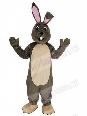 Easter Bunny mascot costume