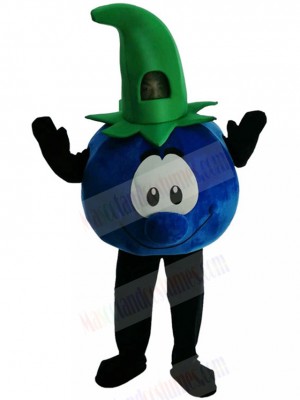 New Style Bobby Blueberry Mr Blueberries Mascot Costume Plant