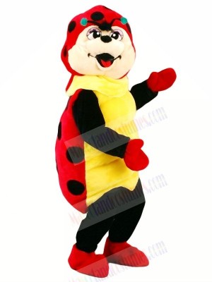 Cute Ladybug Mascot Costumes Cartoon	