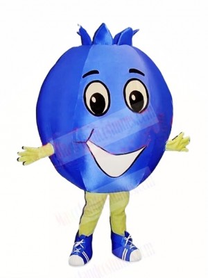 Top Quality Blueberry Mascot Costume 