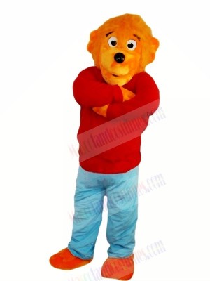 Funny Lion with Red Sweater Mascot Costumes Animal
