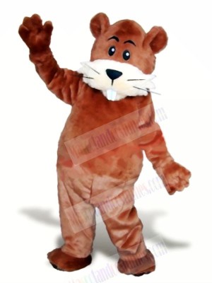 Cute Brown Beaver Mascot Costumes Animal