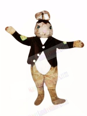 Brown Easter Bunny Mascot Costumes Animal