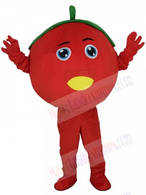 Cute Tomato Fruit Mascot Costume Cartoon