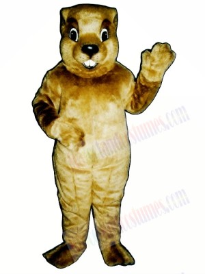 Groundhog Mascot Costumes 