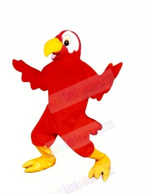 Marty Macaw Mascot Costumes Cartoon