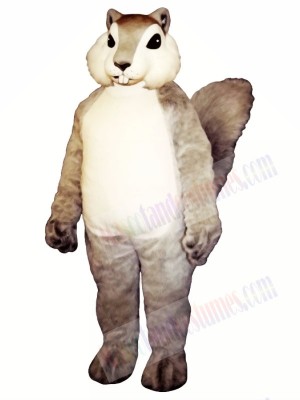 Grey Squirrel Mascot Costume Animal 