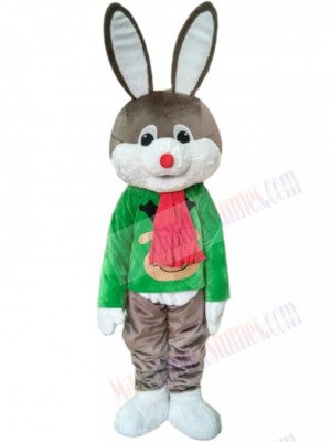 Bunny Rabbit mascot costume