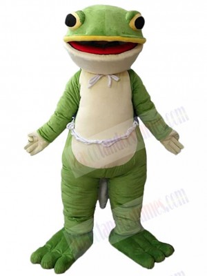 Frog mascot costume