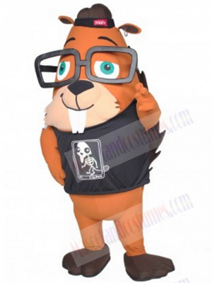 Hoover Aardvark mascot costume
